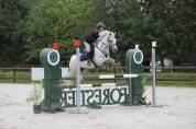 Poney connemara 7ans sport