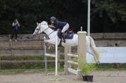 Poney connemara 7ans sport