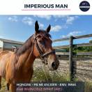 MAGNIFIQUE HONGRE PS BAI - IMPERIOUS MAN - 5 ANS 