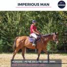 MAGNIFIQUE HONGRE PS BAI - IMPERIOUS MAN - 5 ANS 