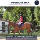 MAGNIFIQUE HONGRE PS BAI - IMPERIOUS MAN - 5 ANS 