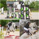 Jadix - A VENDRE uniquement - Ponette de 5 ans