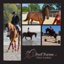 Perf’Forme Horse Academy - Écurie de Compétition CSO/DR