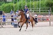 Hongre 12 ans CSO Amateur