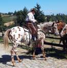 Jument Appaloosa