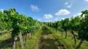 Propriété ISOLEE de 10 hectares d'un seul tenant