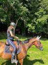 Jument 3 ans sport et loisir G4 Idéale CSO - Endurance