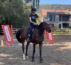 Jument 3 ans sport et loisir G4 Idéale CSO - Endurance