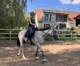 Adorable 2 ANS GRIS POLYVALENT