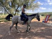 Adorable 2 ANS GRIS POLYVALENT