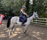 Adorable 2 ANS GRIS POLYVALENT