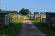 Haras & Centre d'entraînement - 25 mn de Deauville (Normandie)