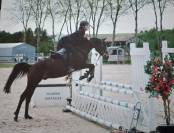 Vends PONEY 14 ans type français de selle 