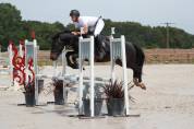 Poney CSO/CCE à vendre 