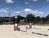 Cheval cso 3 ans 