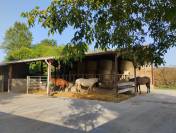 Pension chevaux - Le Vallon des Oréades