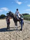 Hongre PRE 7 ans 1m70 - Top Dressage