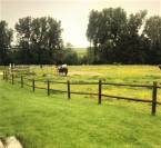 Propriété Equestre, 2 Maisons au Nord de Tours