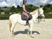 Ponette PFS 3 ans