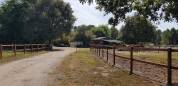 BASSIN D'ARCACHON  Propriété Equestre 5ha