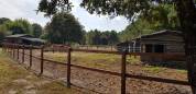 BASSIN D'ARCACHON  Propriété Equestre 5ha