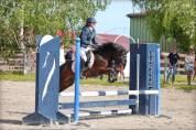 Poney de concours, Maitre d'école, 131 cm