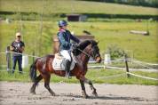 Poney de concours, Maitre d'école, 131 cm