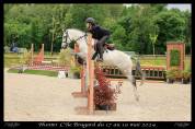 Poney welsh C pp CSO élite 