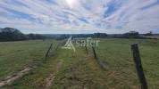 Equestrian property  Allier
