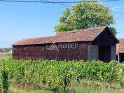 Propriété agricole avec terres et vignes sur 32ha avec irrigat