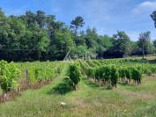 Propriété agricole avec terres et vignes sur 32ha avec irrigat