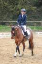 Ponette PFS de 9 ans - loisirs et dressage 