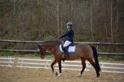 Ponette PFS de 9 ans - loisirs et dressage 