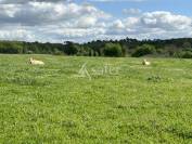 Jolie propriété agricole sur 62ha