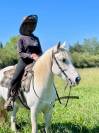 vends jument camarguaise ONC 