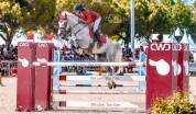 poney de grand prix