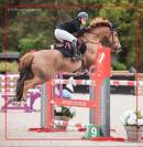 Super Poney CSO FEI