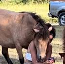 Poney femelle origine constatée 