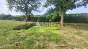 Proche DORDOGNE - ferme en pierre et ses 15 hectares