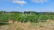 Proche DORDOGNE - ferme en pierre et ses 15 hectares