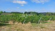 Bâti de CARACTERE sur 15 hectares groupés