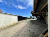 MORTAGNE-AU-PERCHE – HARAS D’ÉLEVAGE – 20HA 