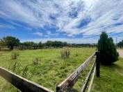 MORTAGNE-AU-PERCHE – HARAS D’ÉLEVAGE – 20HA 