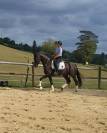 Super jument dressage 4 ans top potentiel 