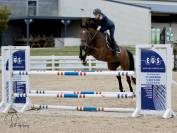 Cheval de sport 4 ans gros potentiel