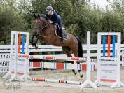 Cheval de sport 4 ans gros potentiel