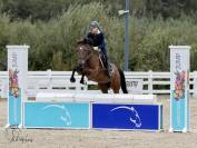 Cheval de sport 4 ans gros potentiel