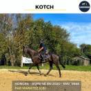 MAGNIFIQUE HONGRE AQPS NOIR - KOTCH - 4 ANS 