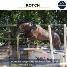 MAGNIFIQUE HONGRE AQPS NOIR - KOTCH - 4 ANS 