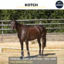 MAGNIFIQUE HONGRE AQPS NOIR - KOTCH - 4 ANS 